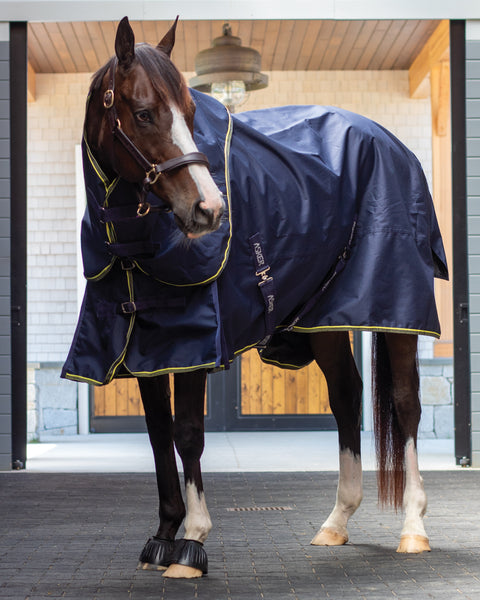 Asker 0g Rain Sheet & Neck Set