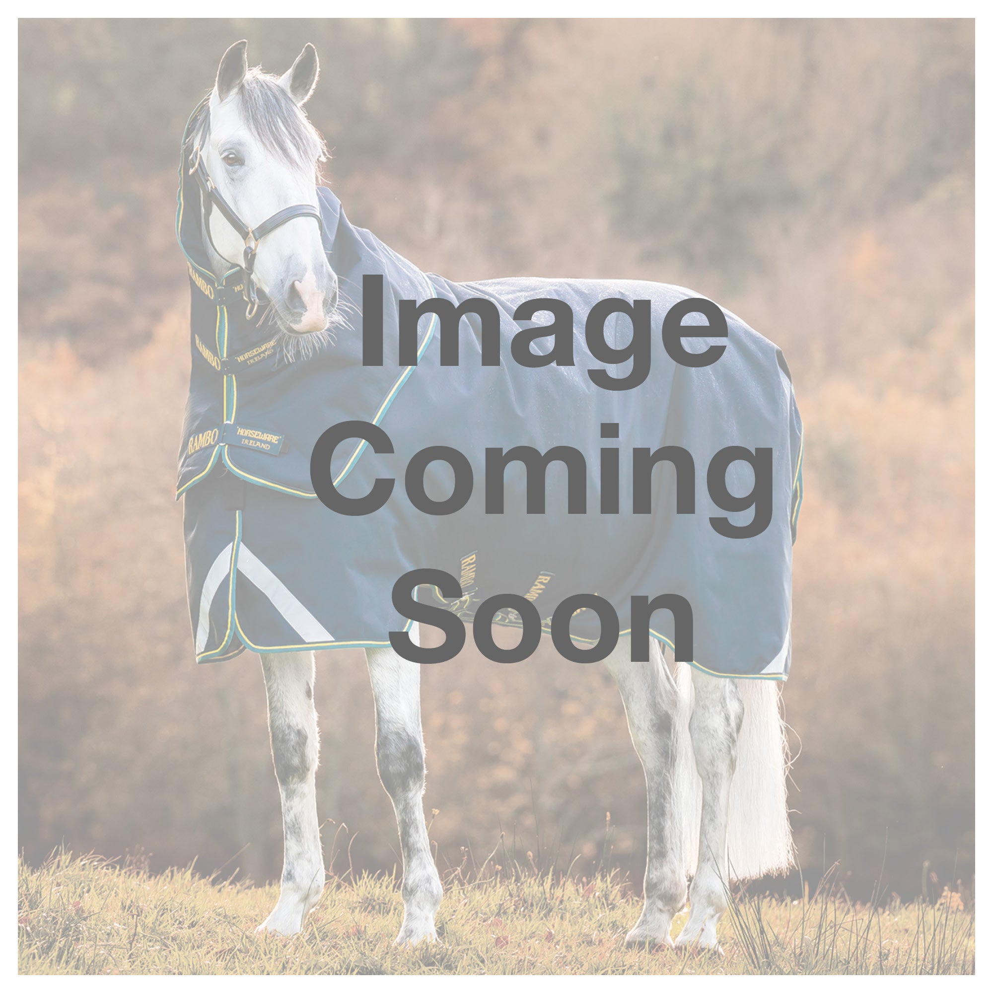 No image available