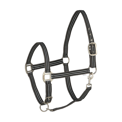 A black horse halter