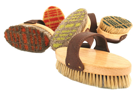 Assortment of horse brushes on a white background