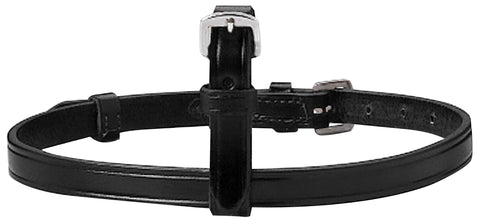 Buckle Flash Attachment