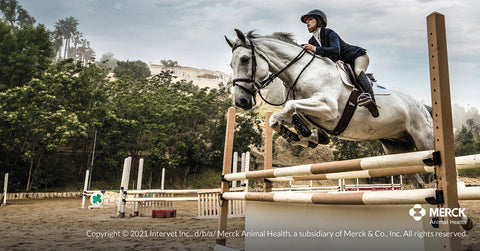 Panacur Paste Dewormer