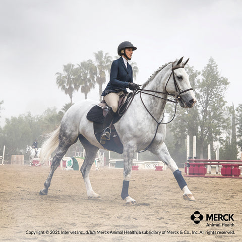 Safe-Guard® Dewormer