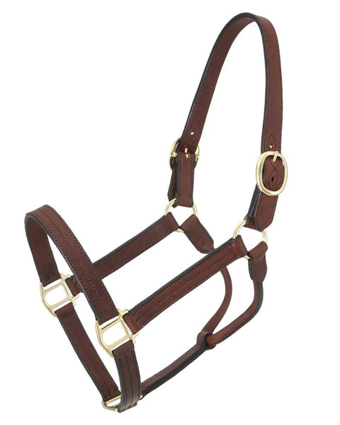 Royal King Leather Track Halter