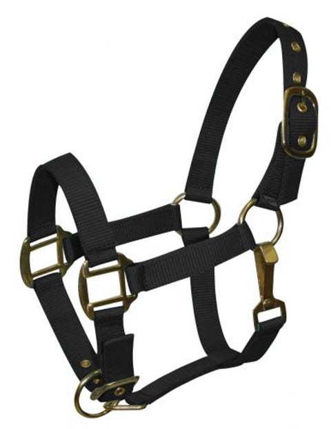 Nylon Pony Halter