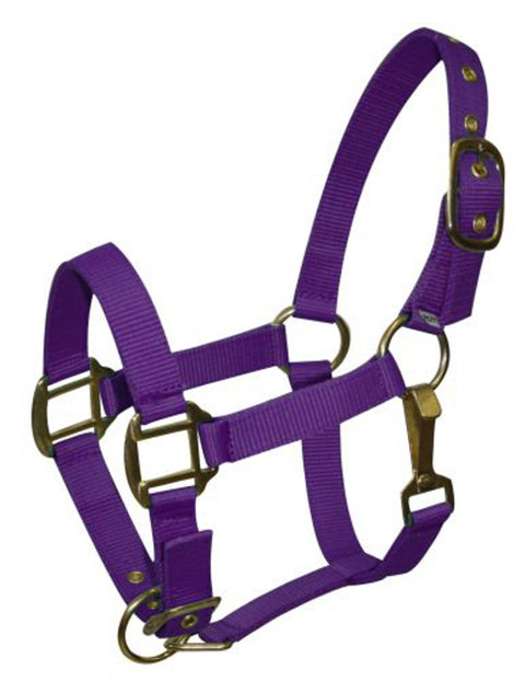 Nylon Pony Halter
