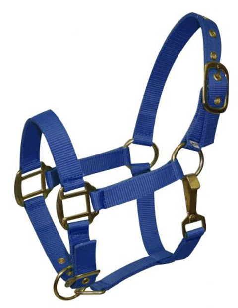 Nylon Pony Halter