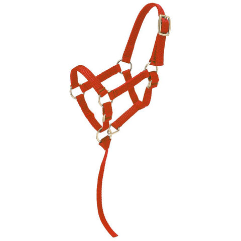 Tough1® Miniature Nylon Halter