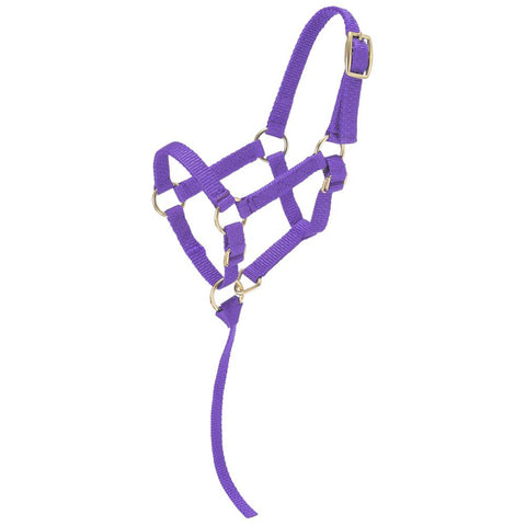 Tough1® Miniature Nylon Halter