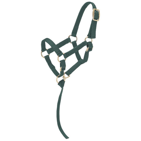 Tough1® Miniature Nylon Halter