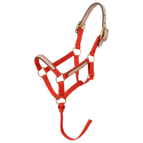Tough1® Miniature Nylon Breakaway Halter