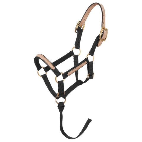 Tough1® Miniature Nylon Breakaway Halter