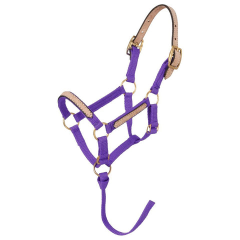 Tough1® Miniature Nylon Breakaway Halter
