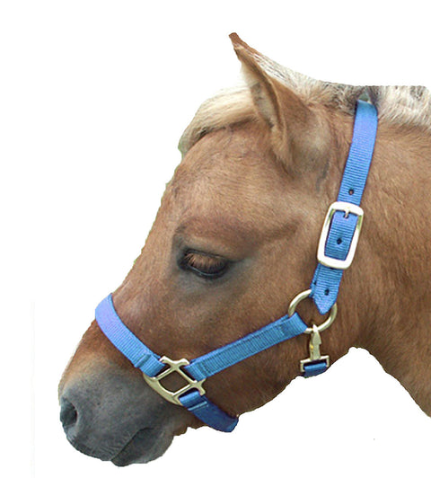 Mini Nylon Halter