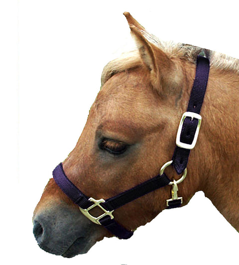 Mini Nylon Halter
