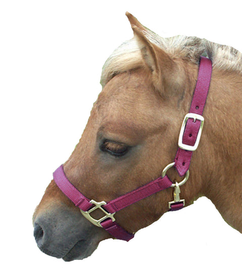 Mini Nylon Halter