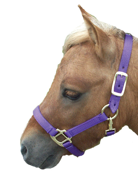 Mini Nylon Halter