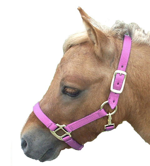 Mini Nylon Halter