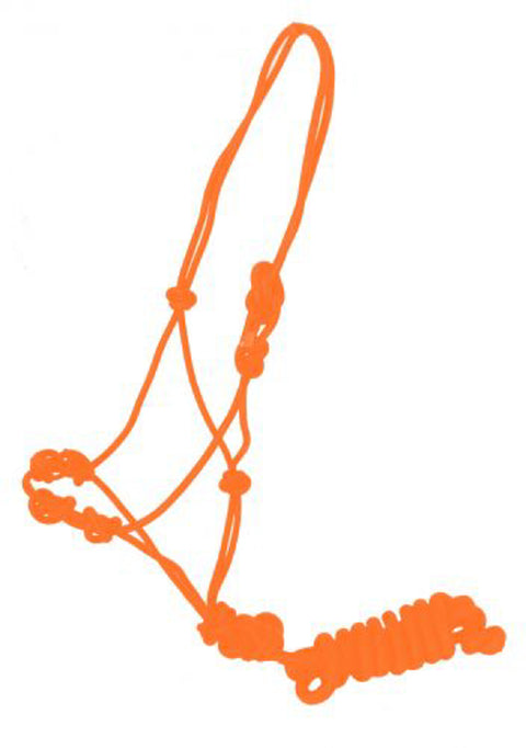 Four-Knot Cowboy Knot Training Halter with Removable Lead