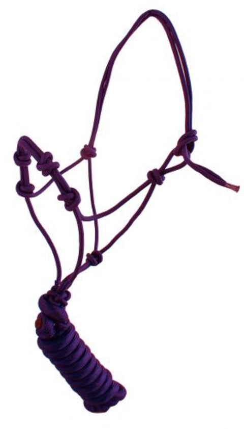 Yearling Size Four-Knot Cowboy Knot Training Halter with Lead