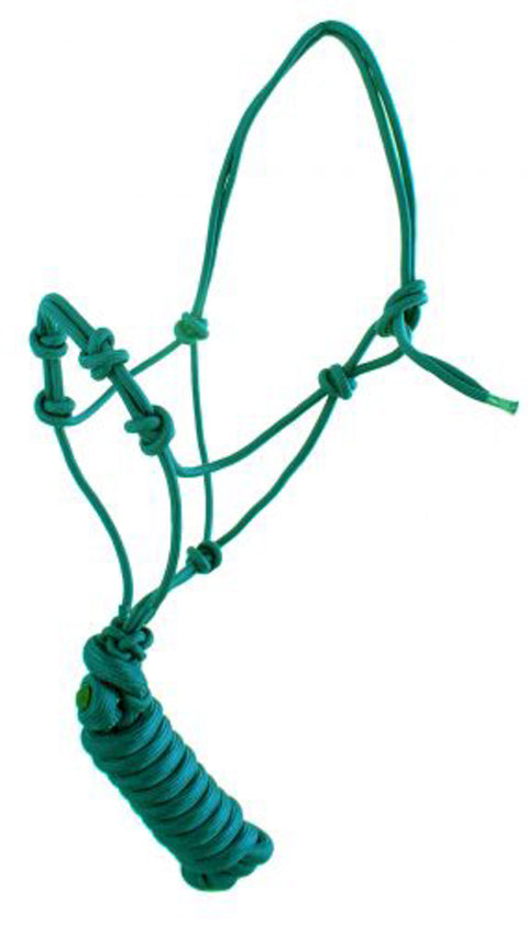 Yearling Size Four-Knot Cowboy Knot Training Halter with Lead