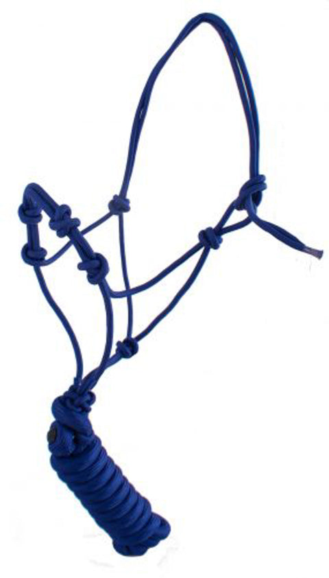 Yearling Size Four-Knot Cowboy Knot Training Halter with Lead