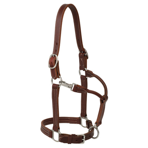 Weaver Leather® Ranch Horse Halter in Canyon Rose
