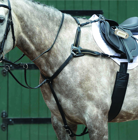 Collegiate® Essential 5-Point Breastplate
