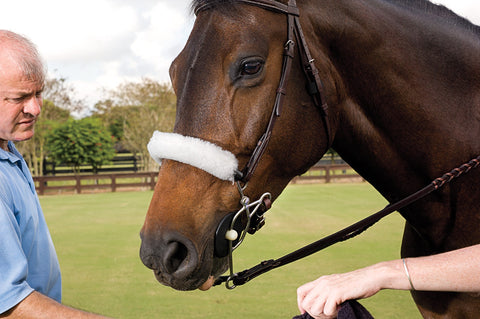 Fleece Hackamore Noseband Cover