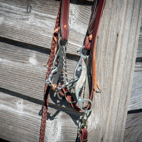 Metalab Feather Collection Twisted Dog Bone Gag Bit