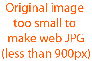 Metalab Emilie Veillette Marley Twist & Chain Combo Gag Bit