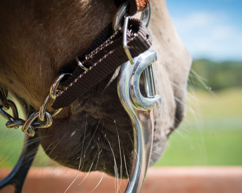 Metalab Aluminum Medium Port Bit