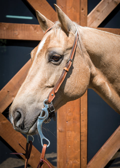 Metalab Aluminum Medium Port Bit