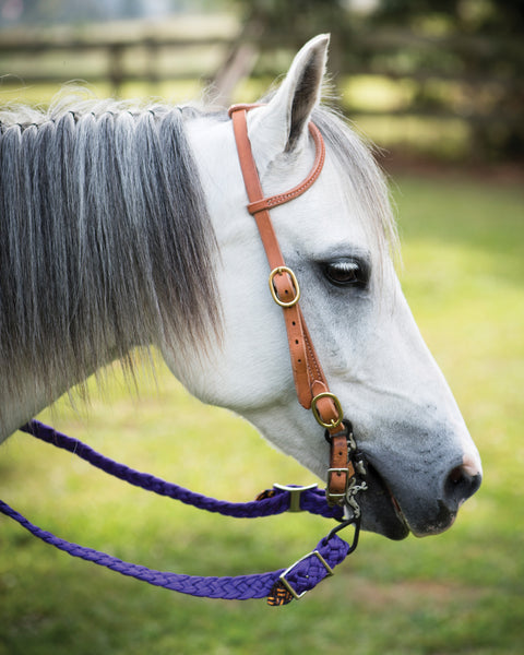 Metalab Santa Fe Pony Correctional Bit