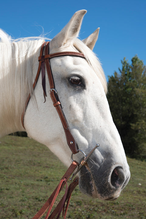 Metalab Copper Full Cheek Bit