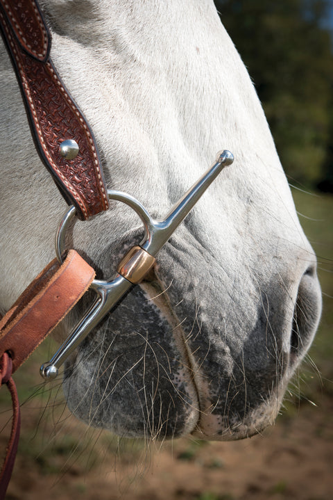 Metalab Copper Full Cheek Bit