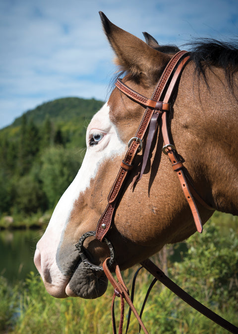 Metalab Western Dee Ring Bit