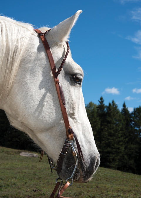 Metalab Copper Tom Thumb Bit