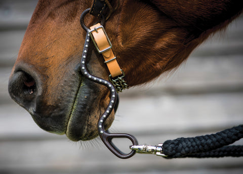 Metalab Cathedral Tool Bit