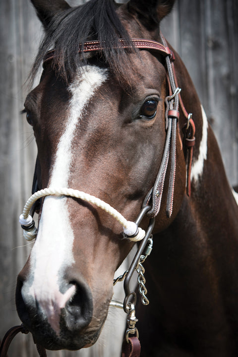 Metalab Short S Rope Hackamore