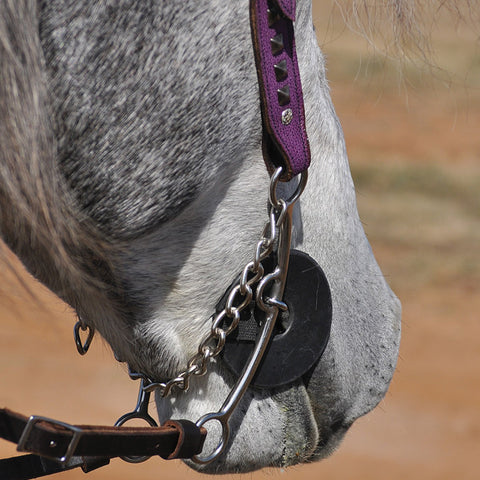 Cashel® Bit Cheek Guards