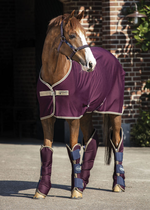 Horseware® Ireland Amigo® Jersey Cooler