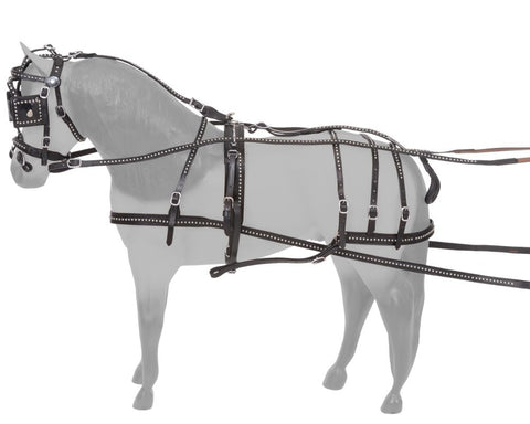 Royal King Miniature Spotted Leather Harness