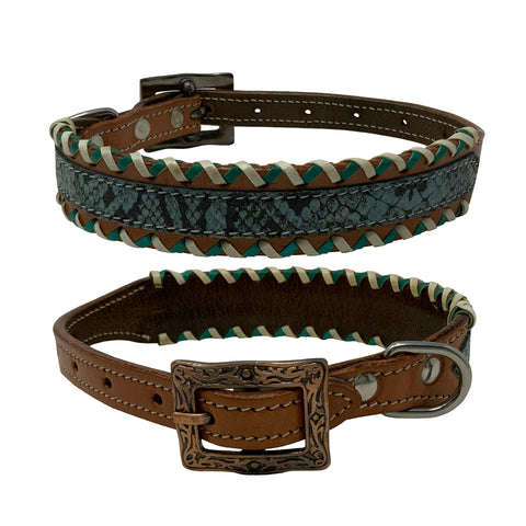 Showman Couture™ Teal Python Leather Dog Collar