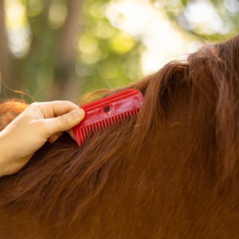 Horze Plastic Mane Comb