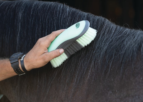 Dandy Brush