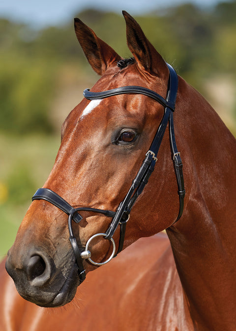 Collegiate® ComFiTec™ Training Bridle