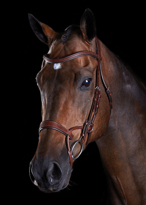 Collegiate® ComFiTec™ Training Bridle