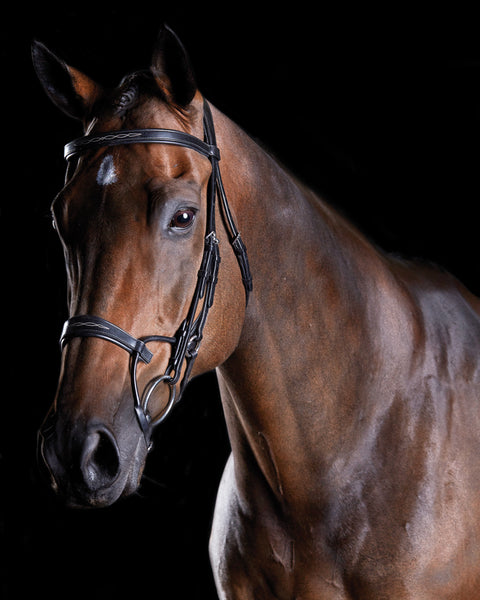 Collegiate® ComFiTec™ Fancy-Stitched Bridle