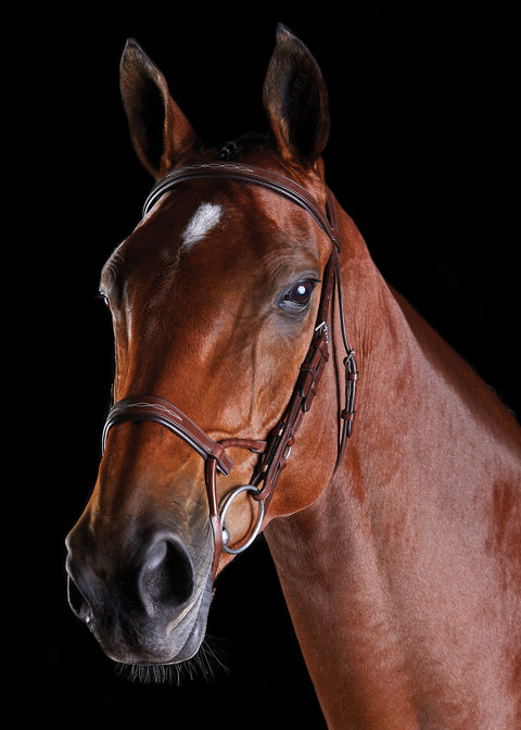Collegiate® ComFiTec™ Fancy-Stitched Bridle